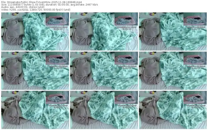 2025/11/08/streamate-vixenminx-18-38-48