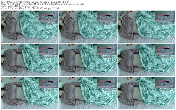 2025/11/08/streamate-vixenminx-20-45-44