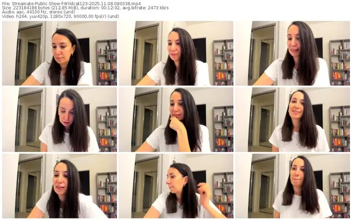 2025/11/08/streamate-wildcat123-08-03-38