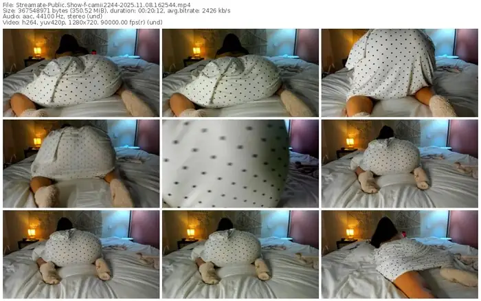 2025/11/08/streamate-camii2244-16-25-44