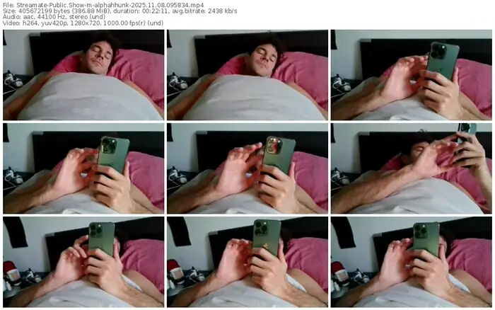 2025/11/08/streamate-alphahhunk-09-58-34