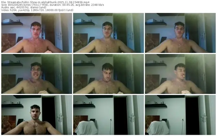 2025/11/08/streamate-alphahhunk-15-48-39