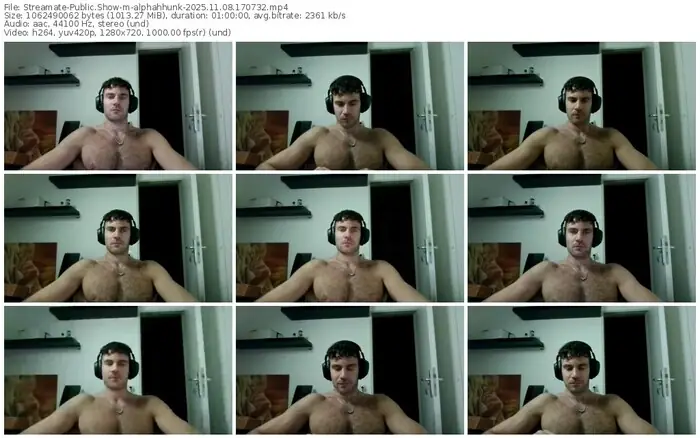 2025/11/08/streamate-alphahhunk-17-07-32
