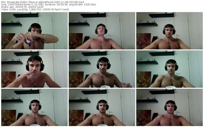 2025/11/08/streamate-alphahhunk-19-15-28