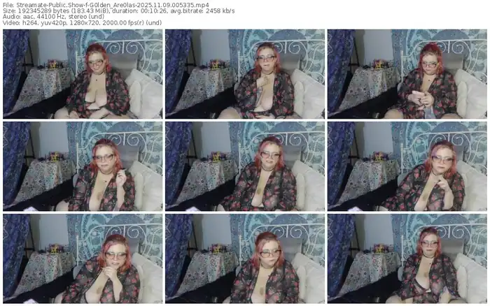 2025/11/09/streamate-g0lden_are0las-00-53-35