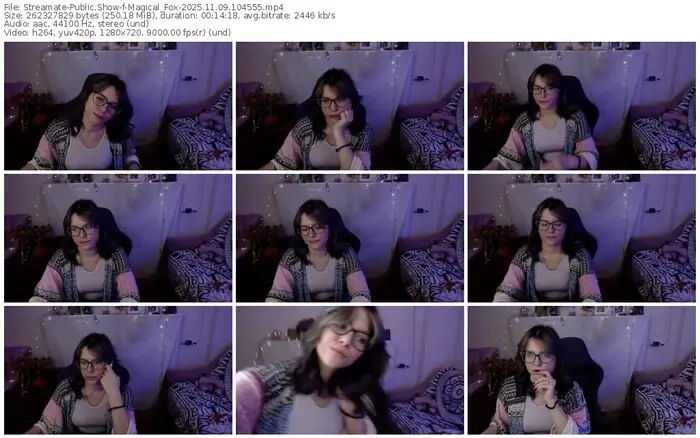 2025/11/09/streamate-magical_fox-10-45-55