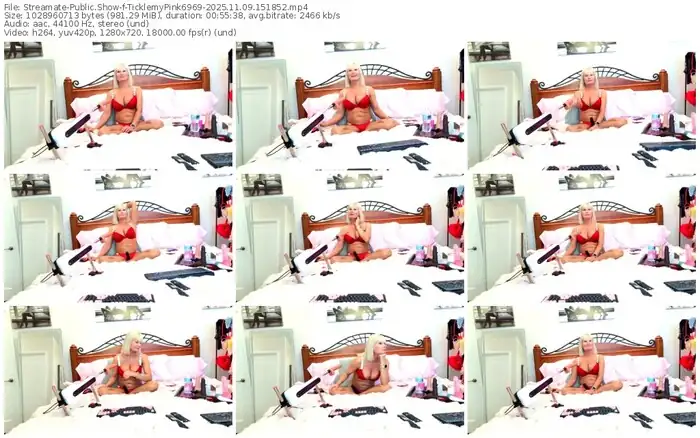 2025/11/09/streamate-ticklemypink6969-15-18-52
