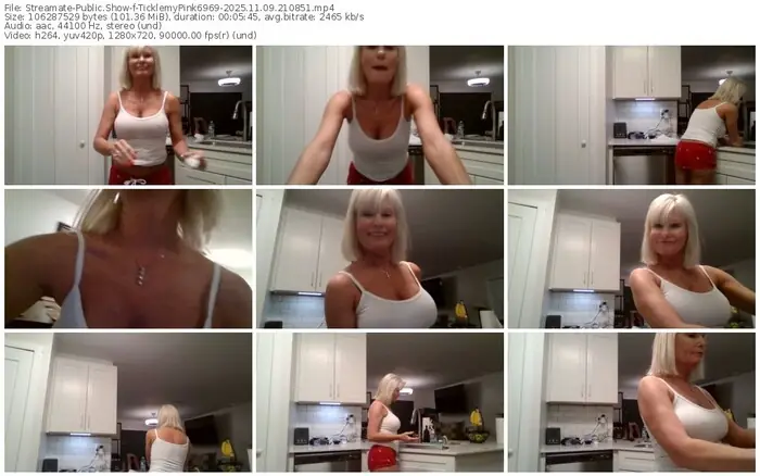 2025/11/09/streamate-ticklemypink6969-21-08-51