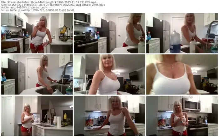 2025/11/09/streamate-ticklemypink6969-22-18-53