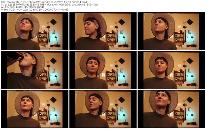 2025/11/09/streamate-wheezycheese-00-58-54