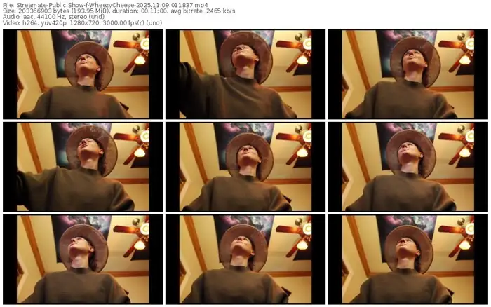 2025/11/09/streamate-wheezycheese-01-18-37