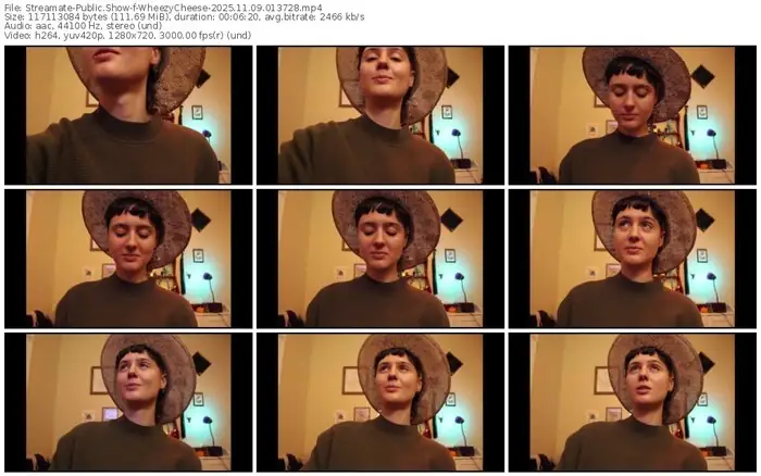 2025/11/09/streamate-wheezycheese-01-37-28