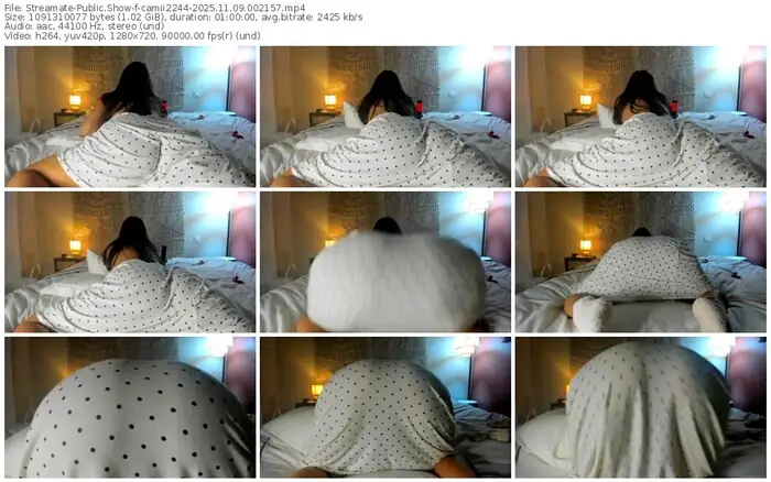 2025/11/09/streamate-camii2244-00-21-57