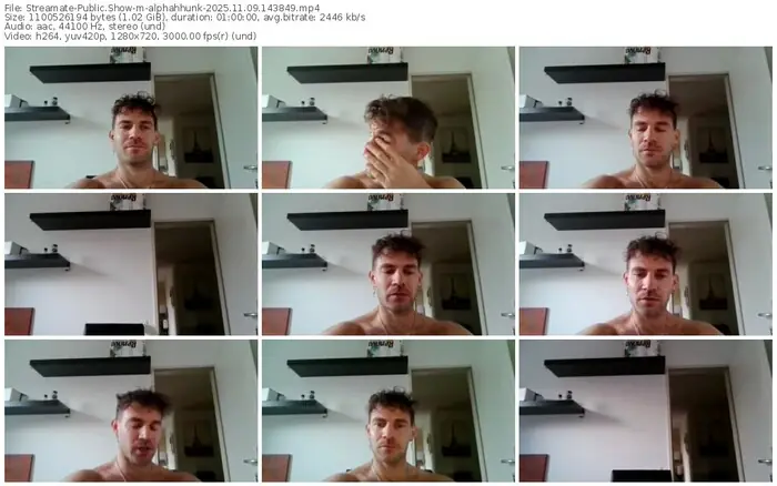2025/11/09/streamate-alphahhunk-14-38-49