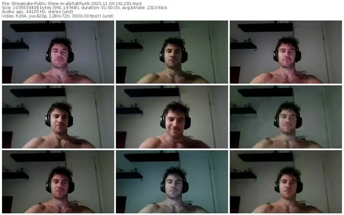 2025/11/09/streamate-alphahhunk-16-12-30
