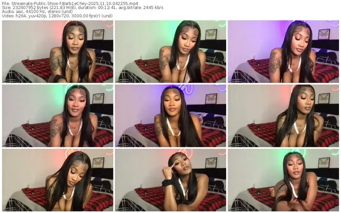 2025/11/10/streamate-barb1echey-04-22-55