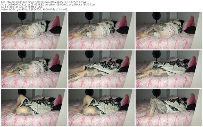 2025/11/10/streamate-honeysweettea-08-55-11