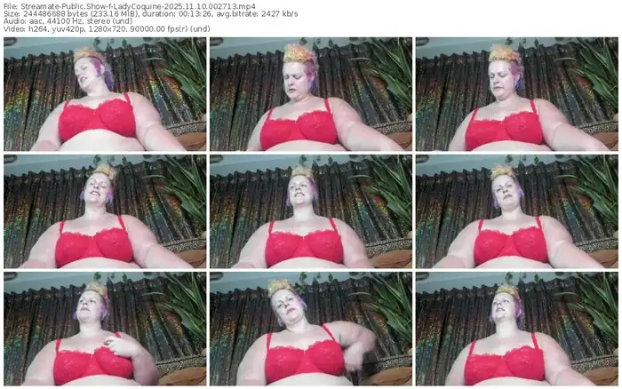 2025/11/10/streamate-ladycoquine-00-27-13