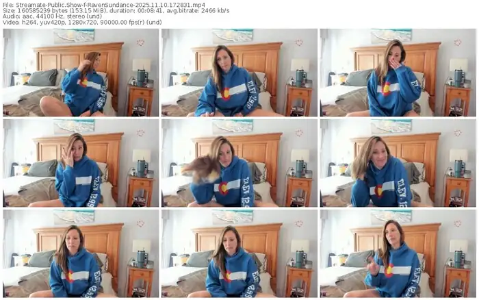 2025/11/10/streamate-ravensundance-17-28-31