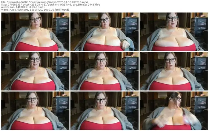 2025/11/10/streamate-winkingdaisys-09-28-13