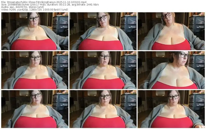 2025/11/10/streamate-winkingdaisys-10-31-02