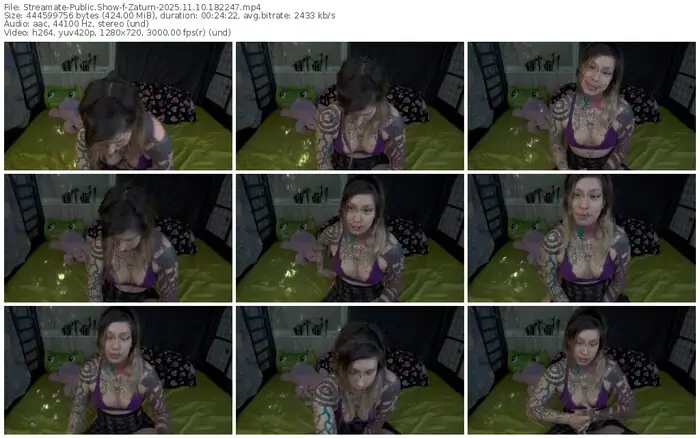 2025/11/10/streamate-zaturn-18-22-47