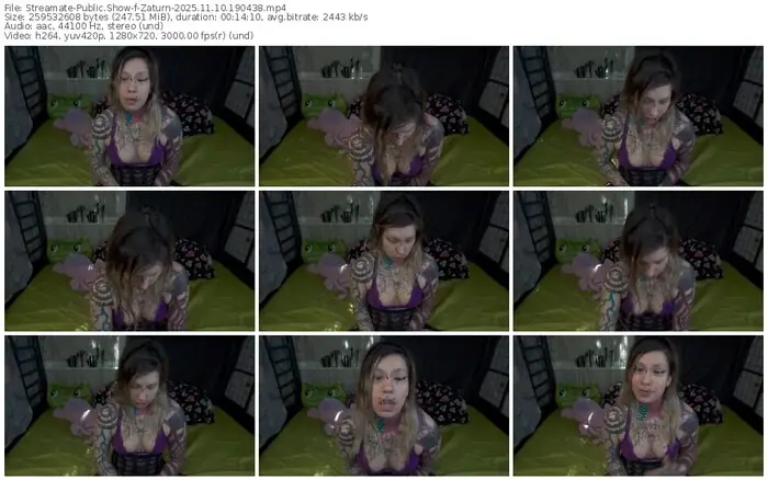 2025/11/10/streamate-zaturn-19-04-38