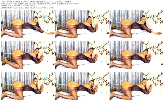 2025/11/12/streamate-africanbooty999-04-27-36