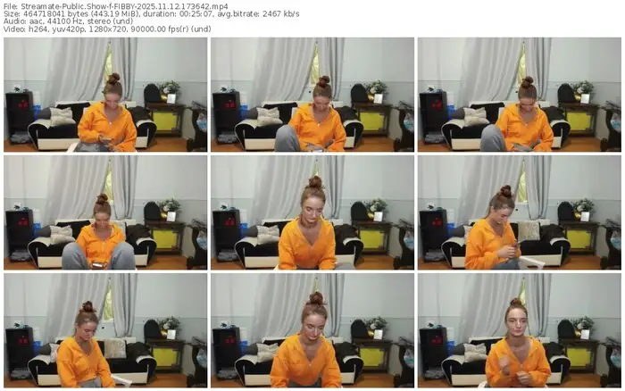 2025/11/12/streamate-fibby-17-36-42