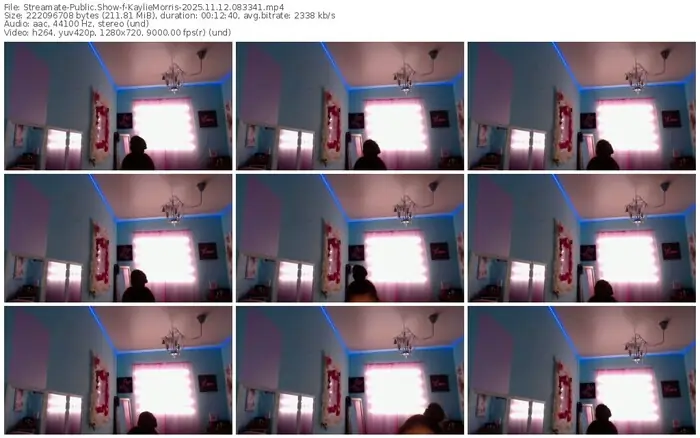 2025/11/12/streamate-kayliemorris-08-33-41