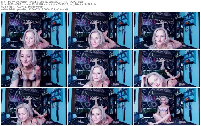 2025/11/12/streamate-missquincam-19-58-56