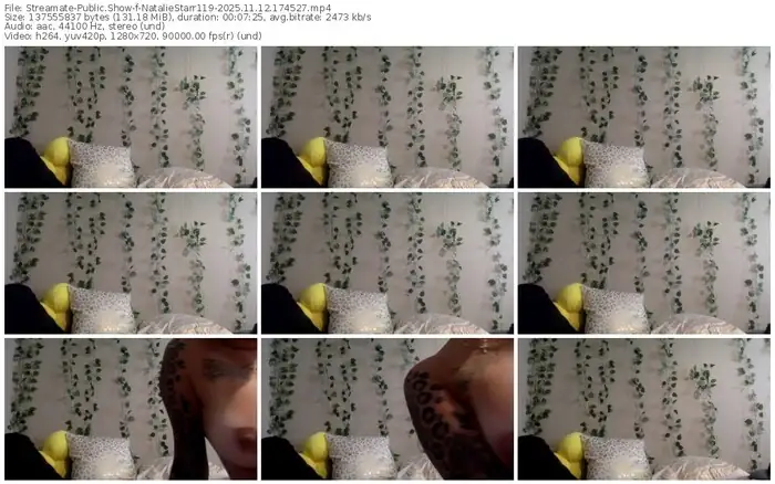 2025/11/12/streamate-nataliestarr119-17-45-27