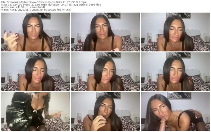 2025/11/12/streamate-princessdion-13-52-23