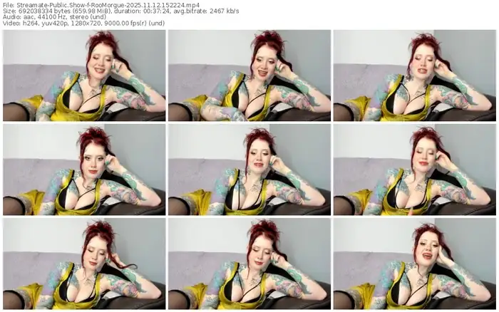 2025/11/12/streamate-roomorgue-15-22-24