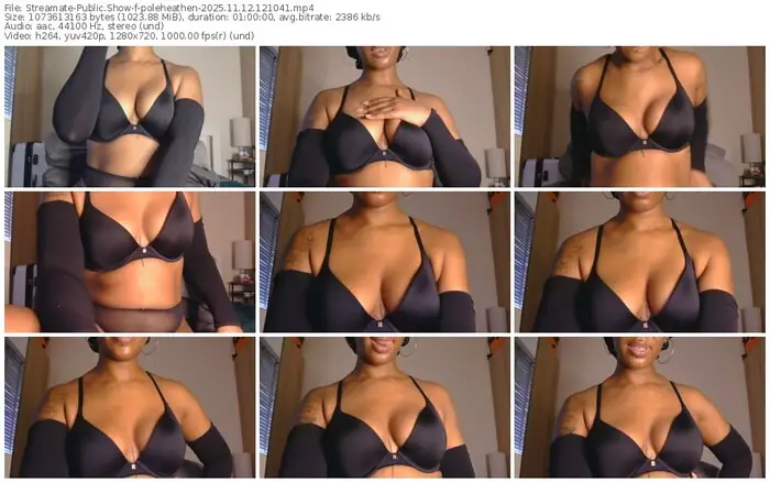 2025/11/12/streamate-poleheathen-12-10-41