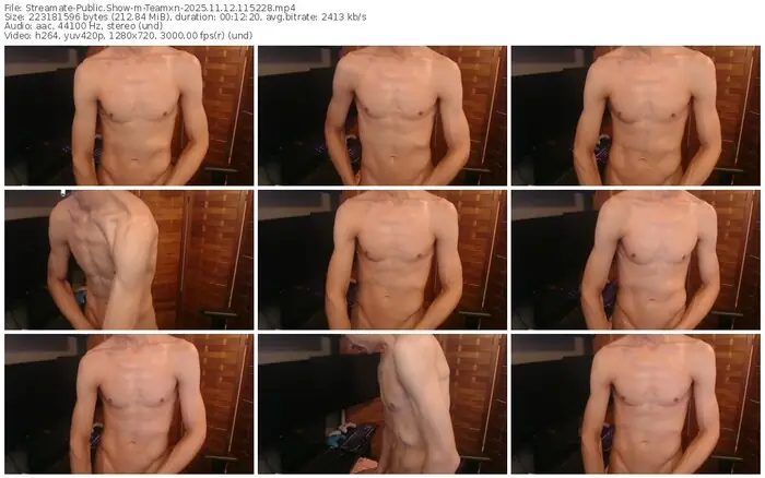 2025/11/12/streamate-teamxn-11-52-28