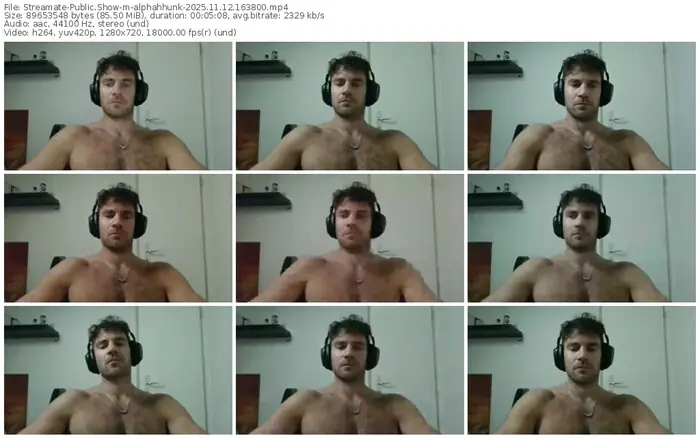 2025/11/12/streamate-alphahhunk-16-38-00