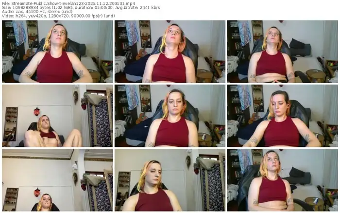 2025/11/12/streamate-evelan123-20-31-31