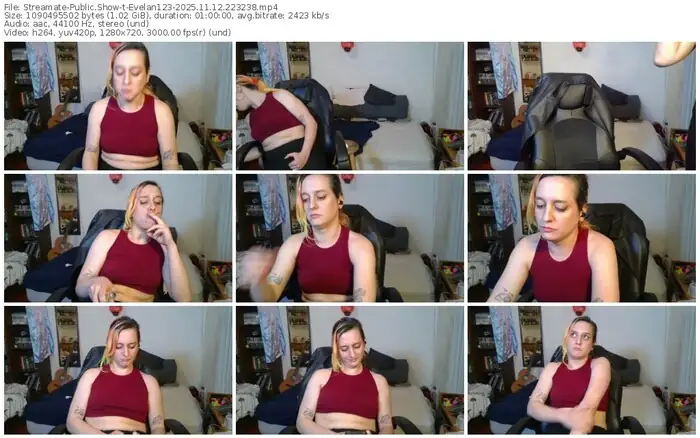 2025/11/12/streamate-evelan123-22-32-38