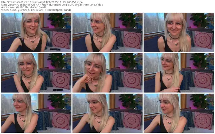 2025/11/13/streamate-allyelliot-16-06-53