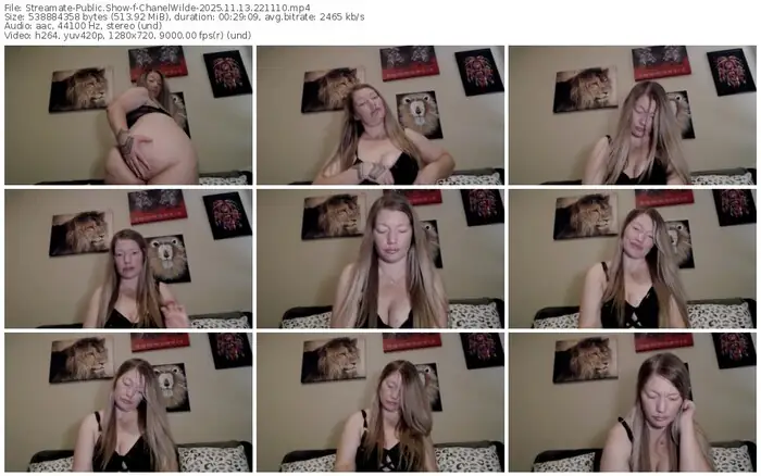 2025/11/13/streamate-chanelwilde-22-11-10