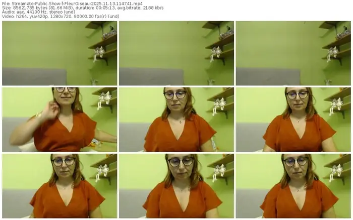 2025/11/13/streamate-fleuroiseau-11-47-41