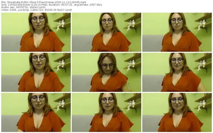 2025/11/13/streamate-fleuroiseau-12-04-45