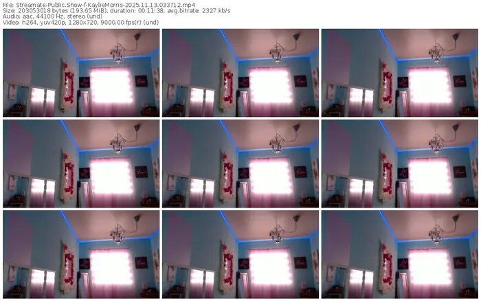 2025/11/13/streamate-kayliemorris-03-37-12