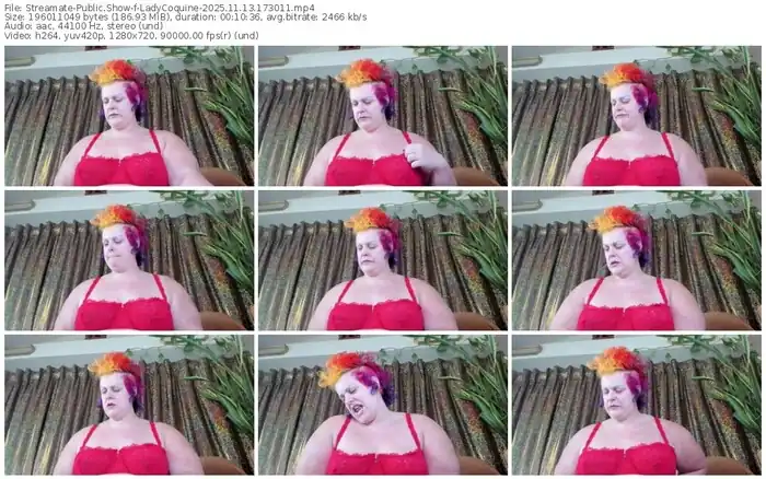 2025/11/13/streamate-ladycoquine-17-30-11