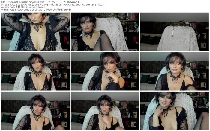 2025/11/13/streamate-lyria18-23-36-04