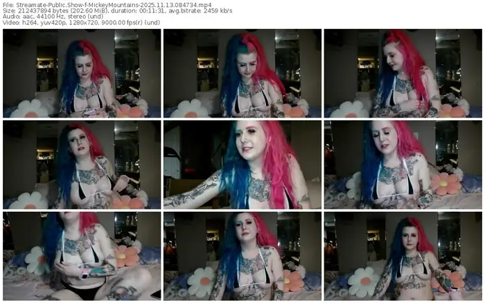 2025/11/13/streamate-mickeymountains-08-47-34