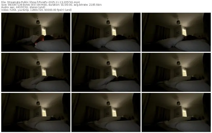 2025/11/13/streamate-pixiepx-20-57-41