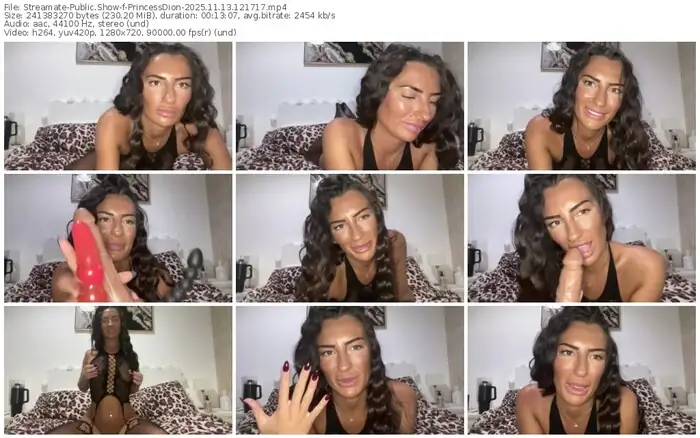 2025/11/13/streamate-princessdion-12-17-17