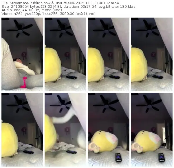 2025/11/13/streamate-tinytittiexx-19-01-02